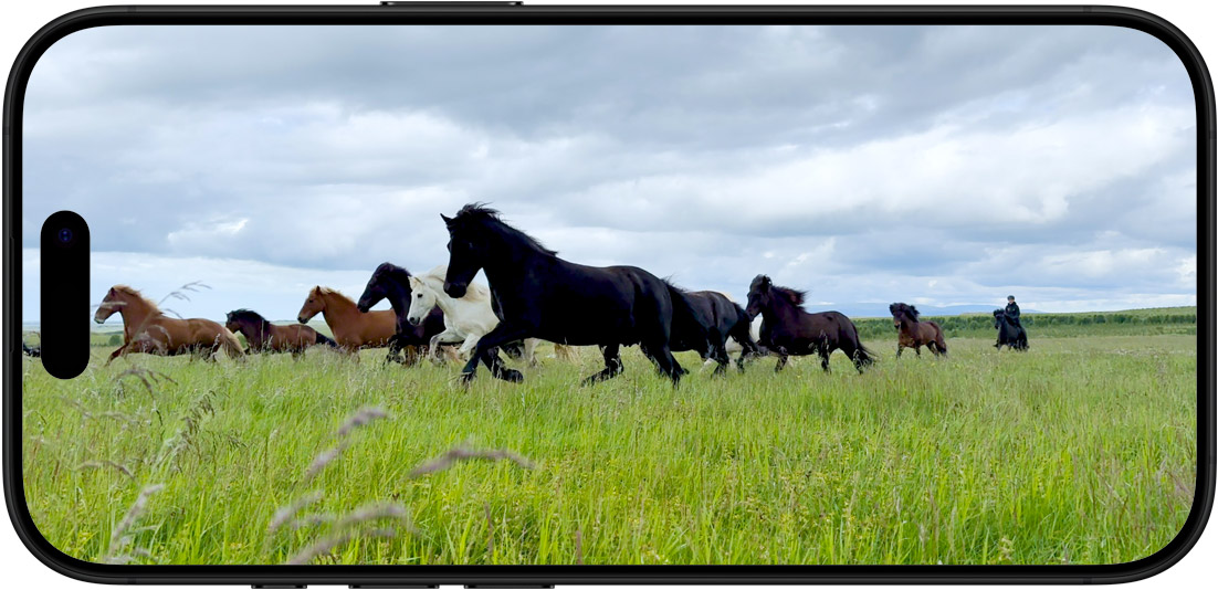 apple iphone 16 pro max mostafonis description 4